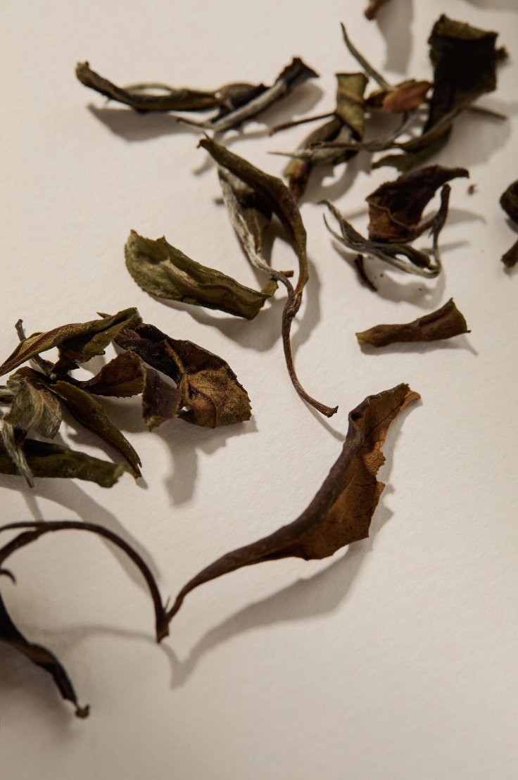 YAMEBUKI 八女山抹茶 — CEREMONY